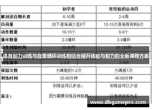体育耐力训练与自重循环训练相结合提升体能与耐力的全新课程方案